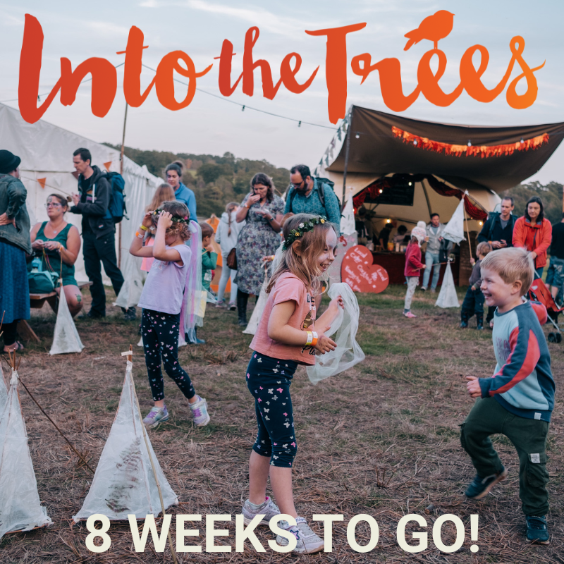 Into The Trees  🌳 tweet media