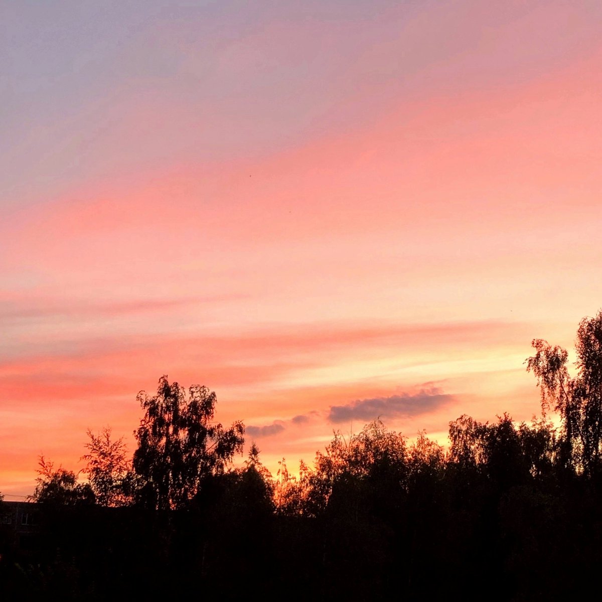 LanaCryes's tweet photo. the last of my 26 ☀️ #summer2024 https://t.co/3wsaCl0qOH