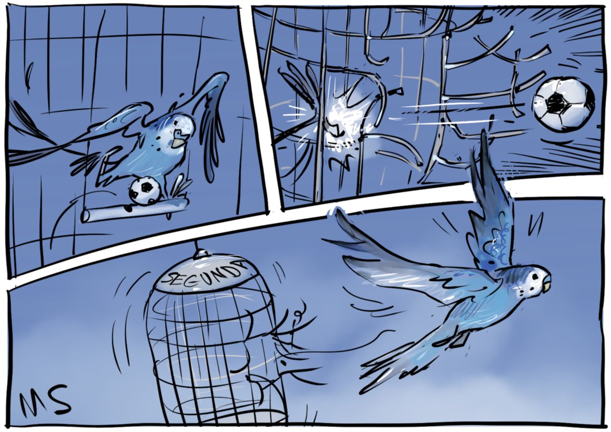 RCD Espanyol de Barcelona