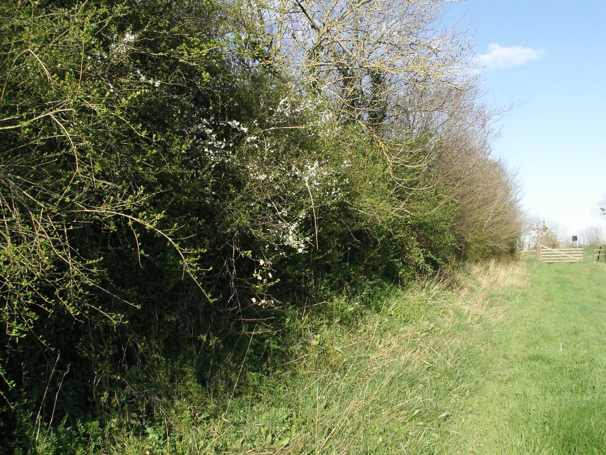 Jean Morin tweet media