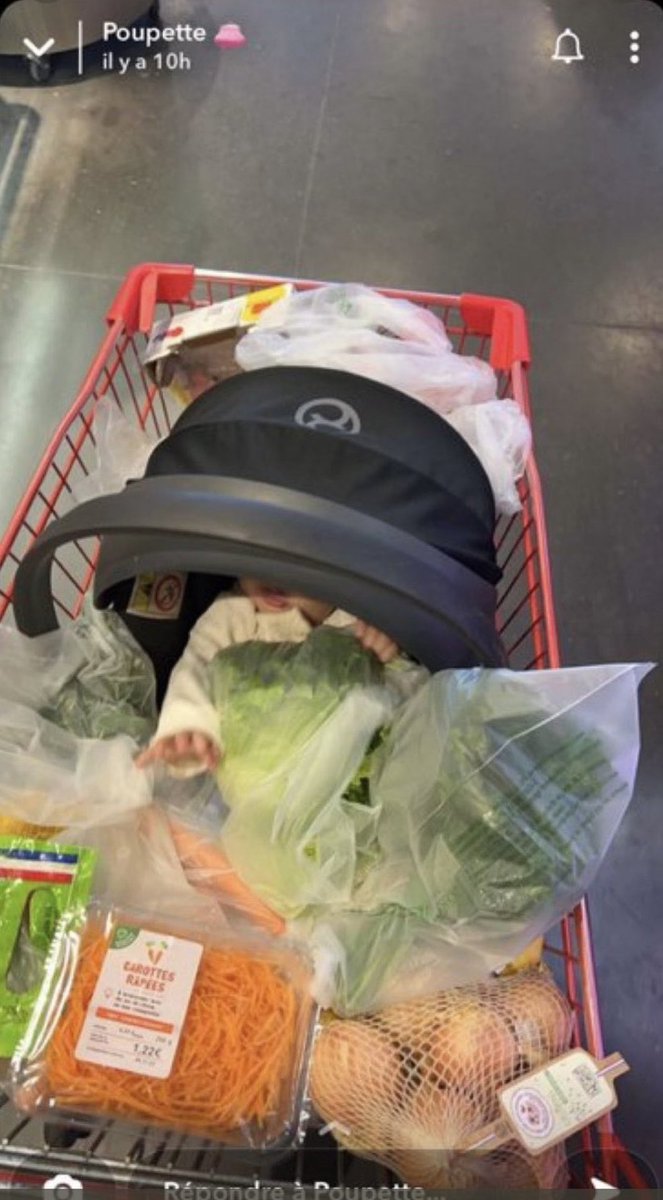 « C’est pas moi, c’est les sociétés d’Allan » tweet media