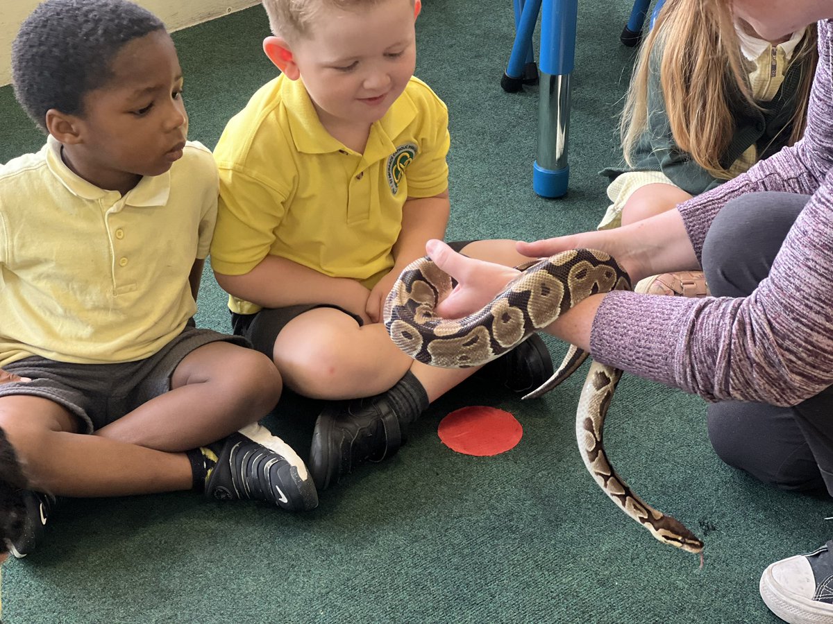 St Michael's RC Primary tweet media