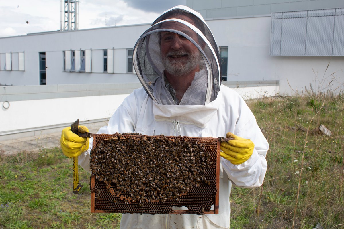 🐝Did you know that BCU is a wildlife friendly uni home to thousands of bees?

8,000 bees live in our beehive on top of Parkside Building, proving us to be one of the top UK universities for protecting wildlife!

Find out how we're promoting biodiversity👇
bcu.ac.uk/about-us/corpo…
