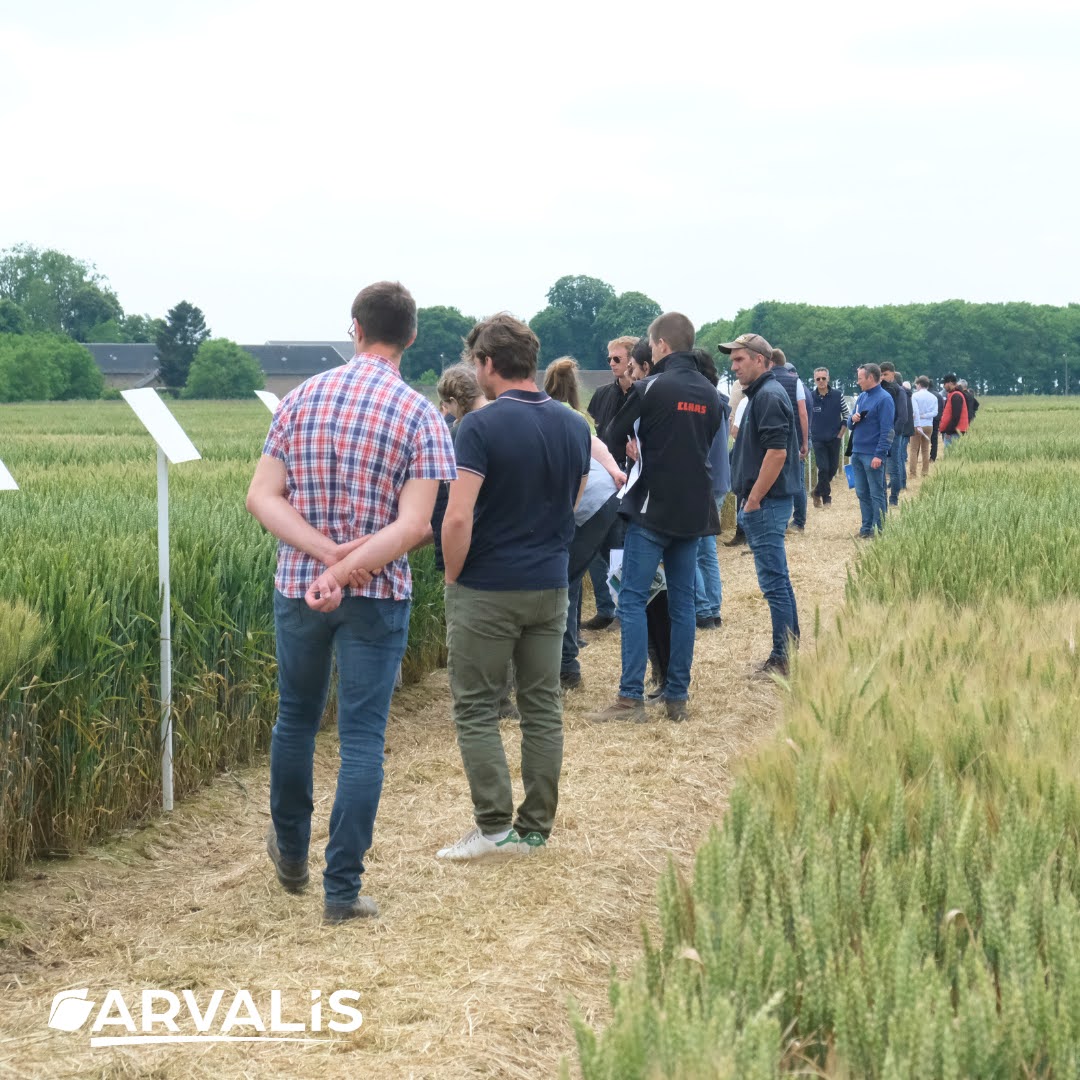 ArvalisHdF's tweet image. Merci aux 300 agriculteurs et techniciens qui sont venus visiter nos plateformes d&apos;essais le 20 juin dernier : une après-midi riche d&apos;échanges techniques
#céréales #pommedeterre #maïs #linfibre 
@Arvalisofficiel