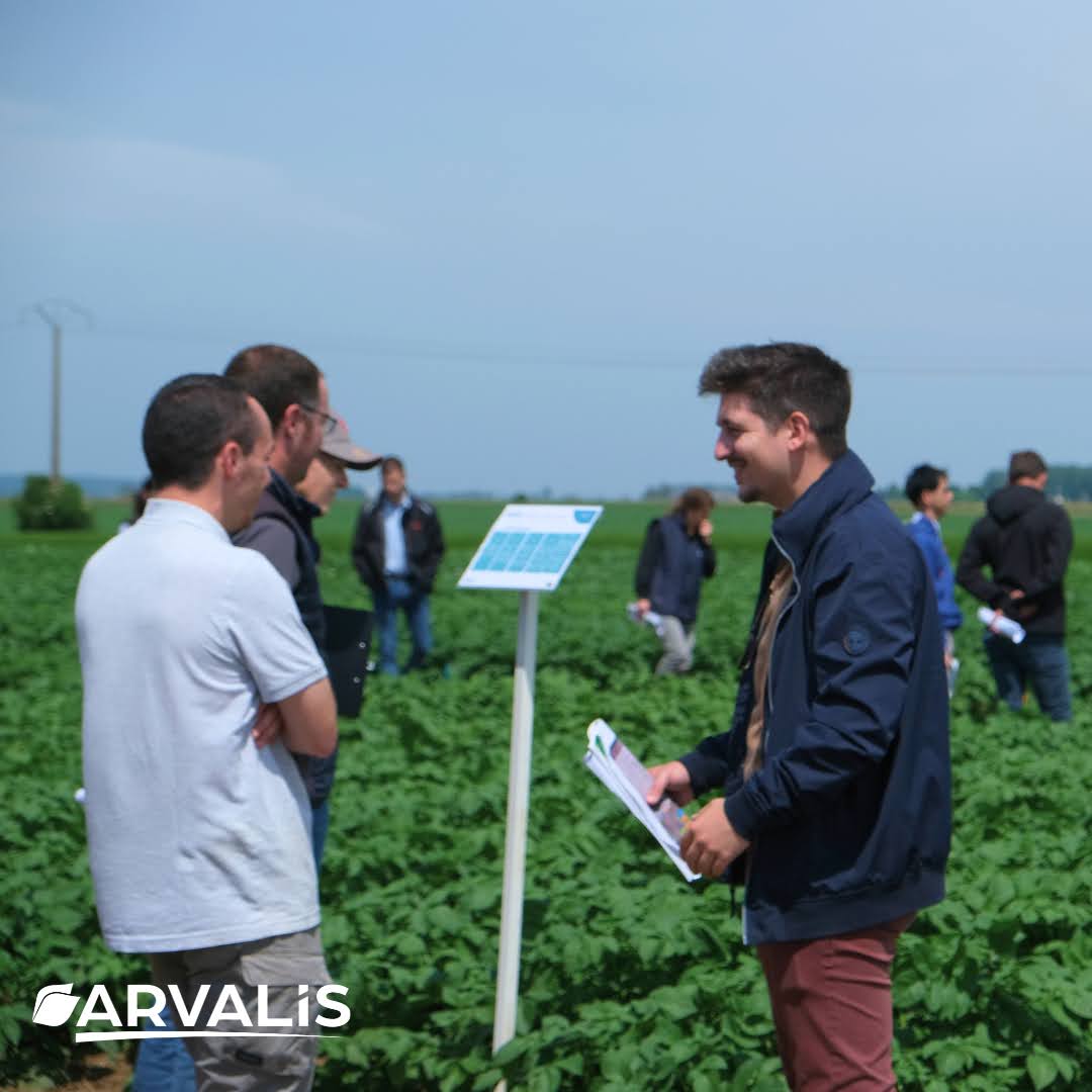 ArvalisHdF's tweet image. Merci aux 300 agriculteurs et techniciens qui sont venus visiter nos plateformes d&apos;essais le 20 juin dernier : une après-midi riche d&apos;échanges techniques
#céréales #pommedeterre #maïs #linfibre 
@Arvalisofficiel