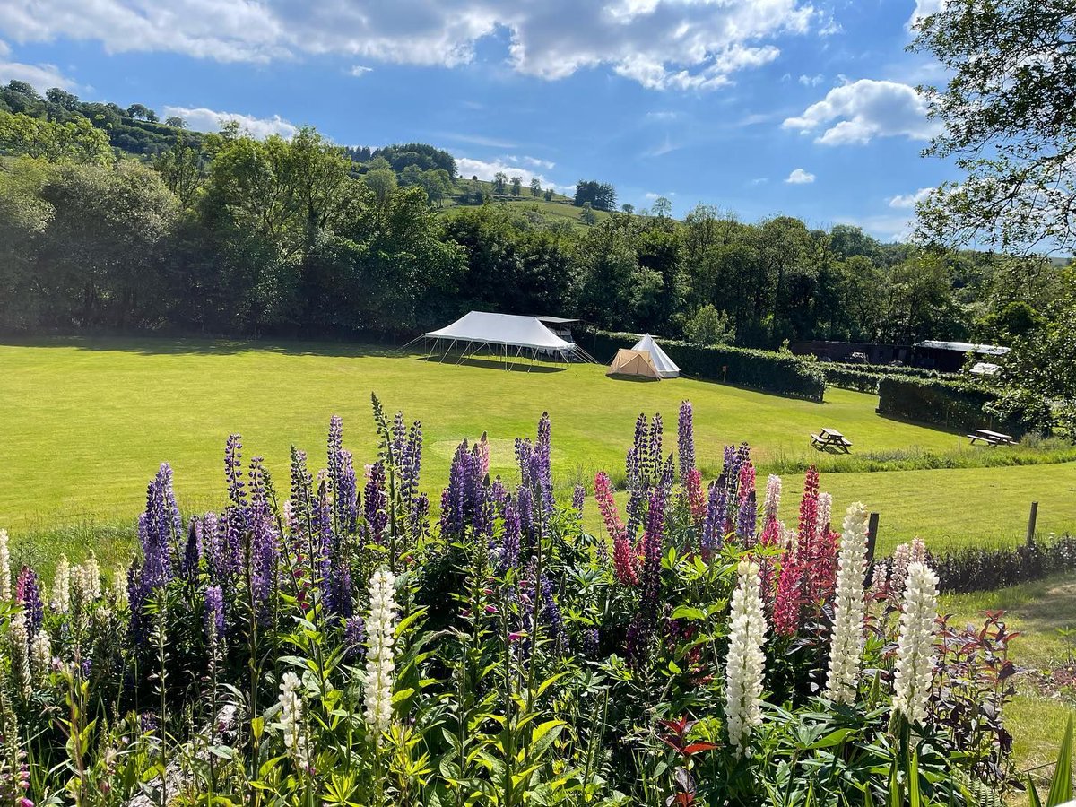 aroundaboutbrit's tweet photo. ⭐ Campsite Powys ⭐
Ynysfaen campsite offers a delightful camping or glamping escape in the heart of Powys, Wales.
🏕 Campsite
https://t.co/1h7gyTL6Ag
#Cwmwysg #Trecastle #Powys #Wales #Holiday #Travel #Campsite #Campsite #VisitWales #BookDirect #PetFriendly #FamilyHoliday https://t.co/v0zentS9Dt
