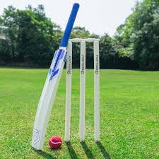 Many thanks to Shahz, one of the coaches from Warwickshire County Cricket Club <a href="/WarwickshireCCC/">Bears</a> , who came to work with our Y2 and Y5 pupils, on Friday.  It was a wonderful experience for them all! 🏏