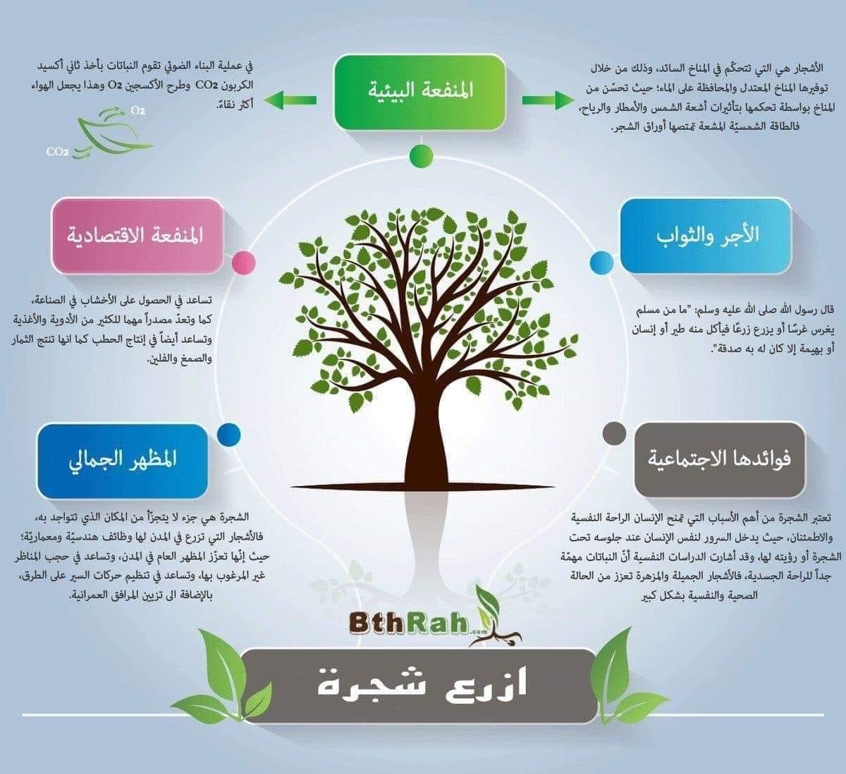 #ازرع_شجرة في مسقط من اجل تلطيف الأجواء وتحسين البيئة سيما ان أشجار الظل تسهم بشكل ملحوظ في تنقية الهواء وتخفيض درجات الحرارة في ظل الظروف المناخية العالمية ليبادر كل منا بزراعة شجرة واحده على الأقل عند محل سكنه