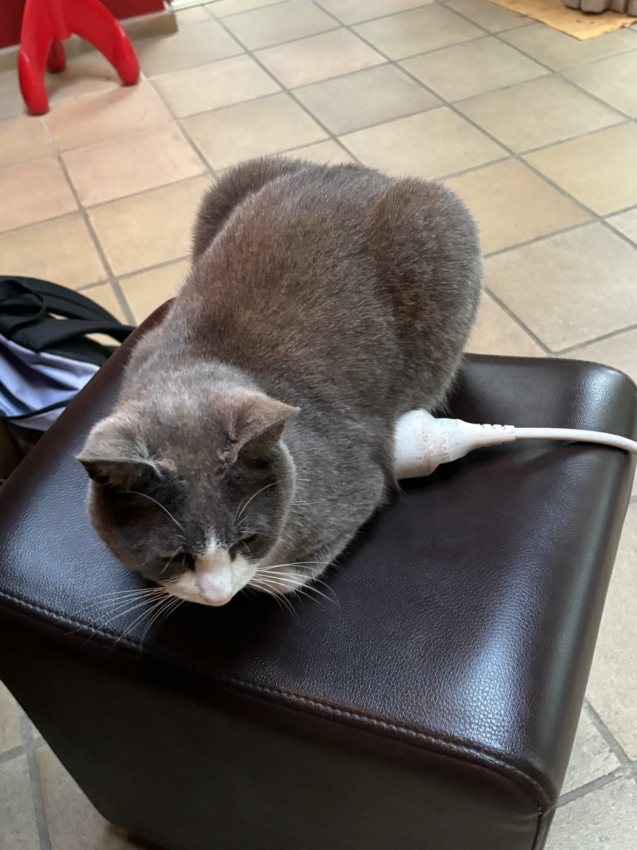 Luc Bertrand (@bertrandluc_ky) on Twitter photo I asked for an electric car. I should have made a typo, I received an E-tech CAT Hybrid. Fortunately, charging battery is rapid ! <a href="/RA_GRRC/">Réseau Avenir GRRC</a> <a href="/GRRC_SFCardio/">GRRC -French community in cardiovascular research</a> <a href="/Heatherlab_ox/">Heather Group</a> I asked for an electric car. I should have made a typo, I received an E-tech CAT Hybrid. Fortunately, charging battery is rapid ! <a href="/RA_GRRC/">Réseau Avenir GRRC</a> <a href="/GRRC_SFCardio/">GRRC -French community in cardiovascular research</a> <a href="/Heatherlab_ox/">Heather Group</a>