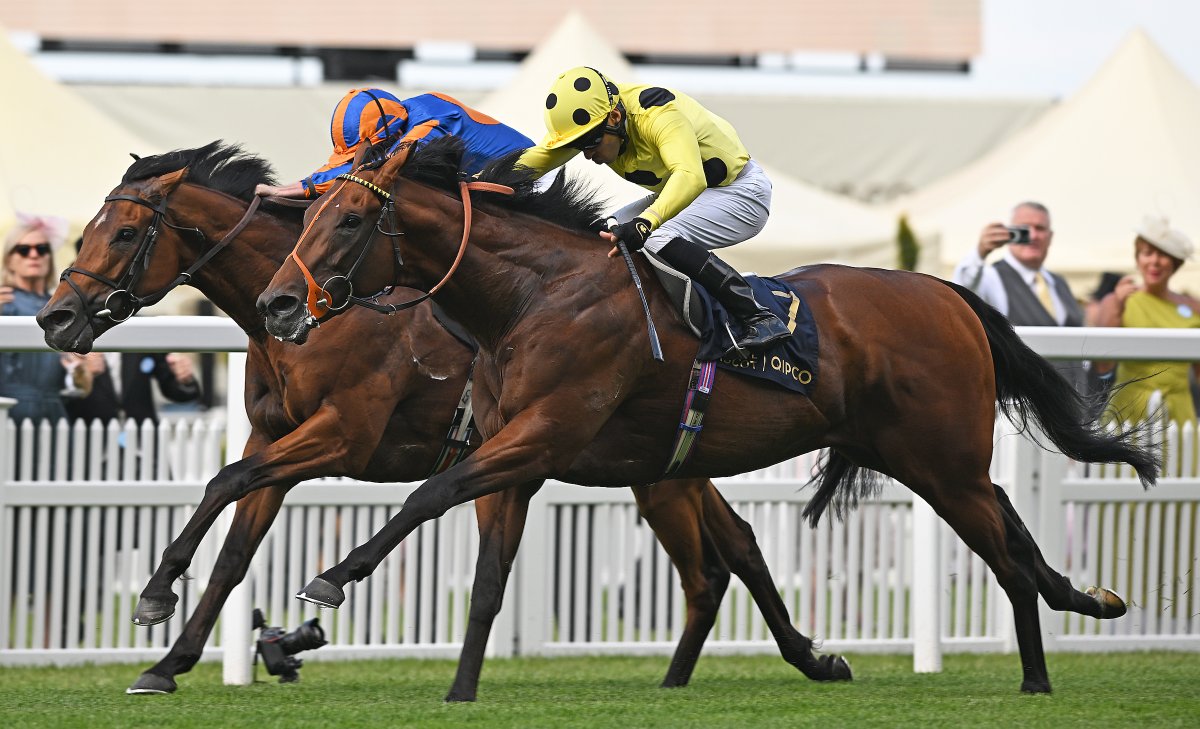 Will Aitkenhead tweet media