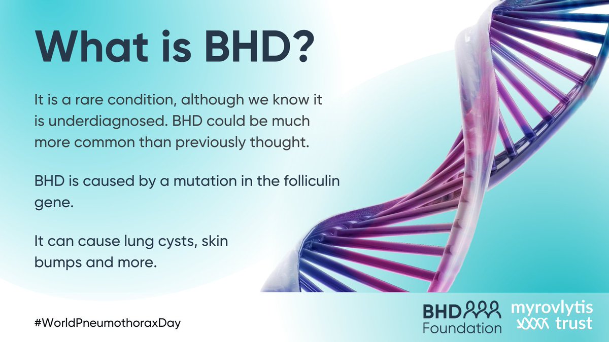 myrovlytis's tweet photo. BHD is a rare inhertied genetic condition. People with #BHD may not know they have the condition until a health event such as #pneumothorax happens.

Learn more about BHD and pneumothorax here: https://t.co/WiEu3fLbnw

#WorldPneumothoraxDay #WPD24 https://t.co/DGQwtNrSs0