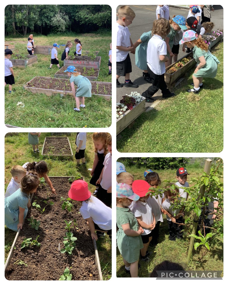 Another busy week last week for Team Opal.
The children enjoyed learning all about Eid and creating their own Eid lanterns. One of our nursery friends shared with the class her first hand experiences of how she celebrated Eid with her family.