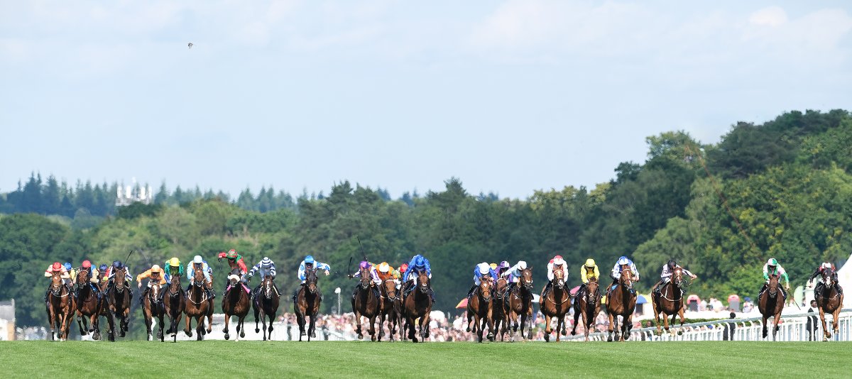 Will Aitkenhead tweet media