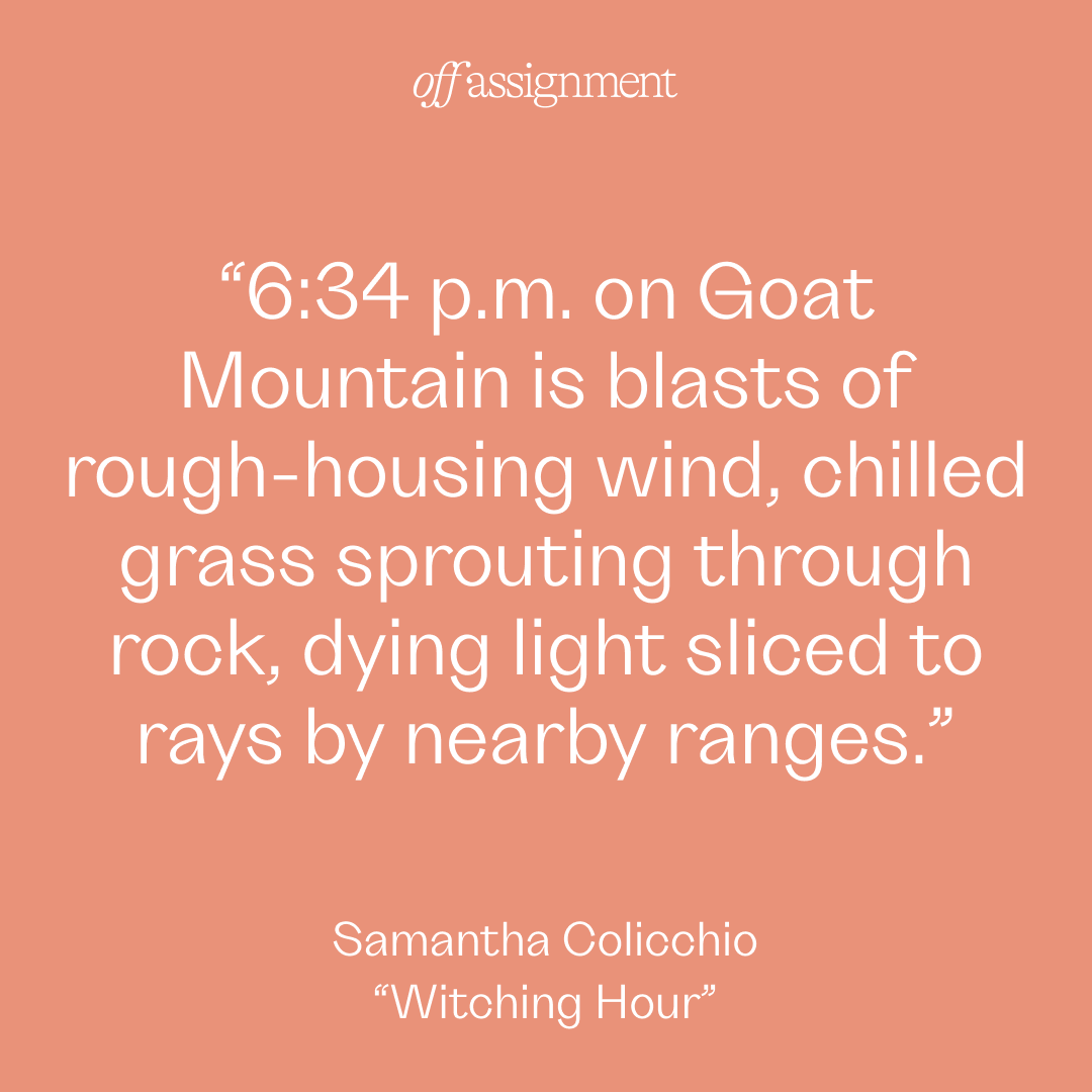 Off Assignment tweet media