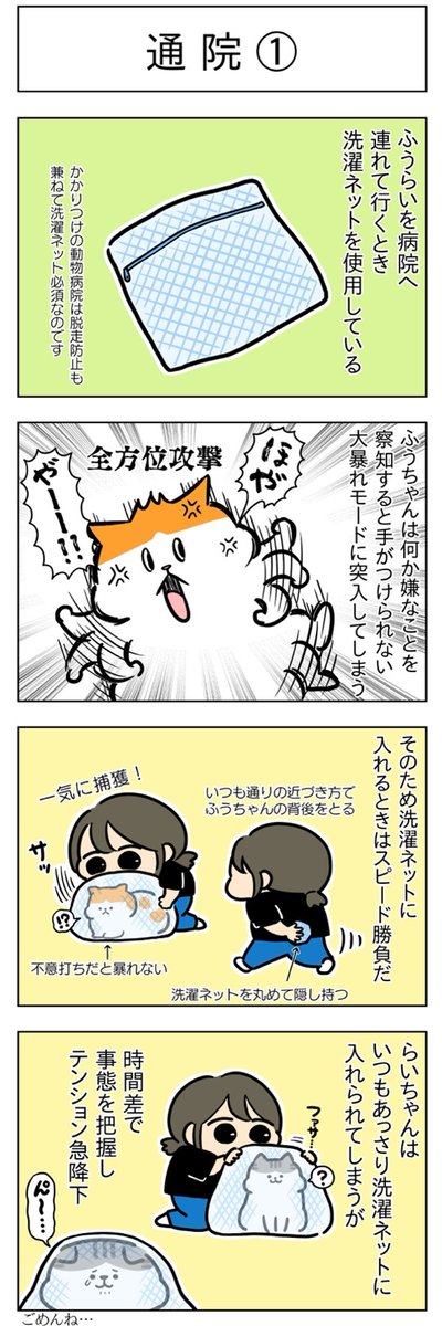通院①②│フェリシモ猫部 