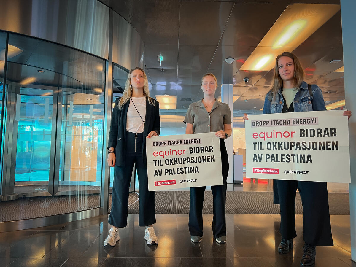 BREAKING: @greenpeacenorge activists occupy Equinor offices over their partnership with Ithaca Energy on the Rosebank oil field. 

Ithaca Energy is majority-owned by the Delek Group - a company operating in West Bank settlements and whose activities have raised human rights