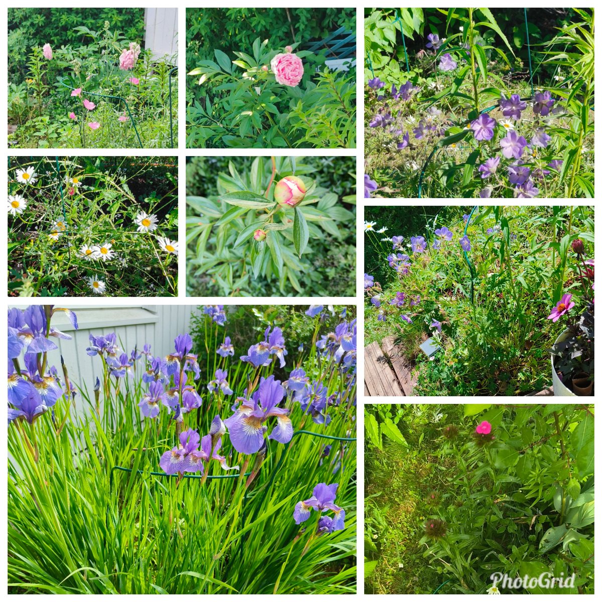 Have a fabtastic new week! 🌞🤗🏵️💮🌸🌹