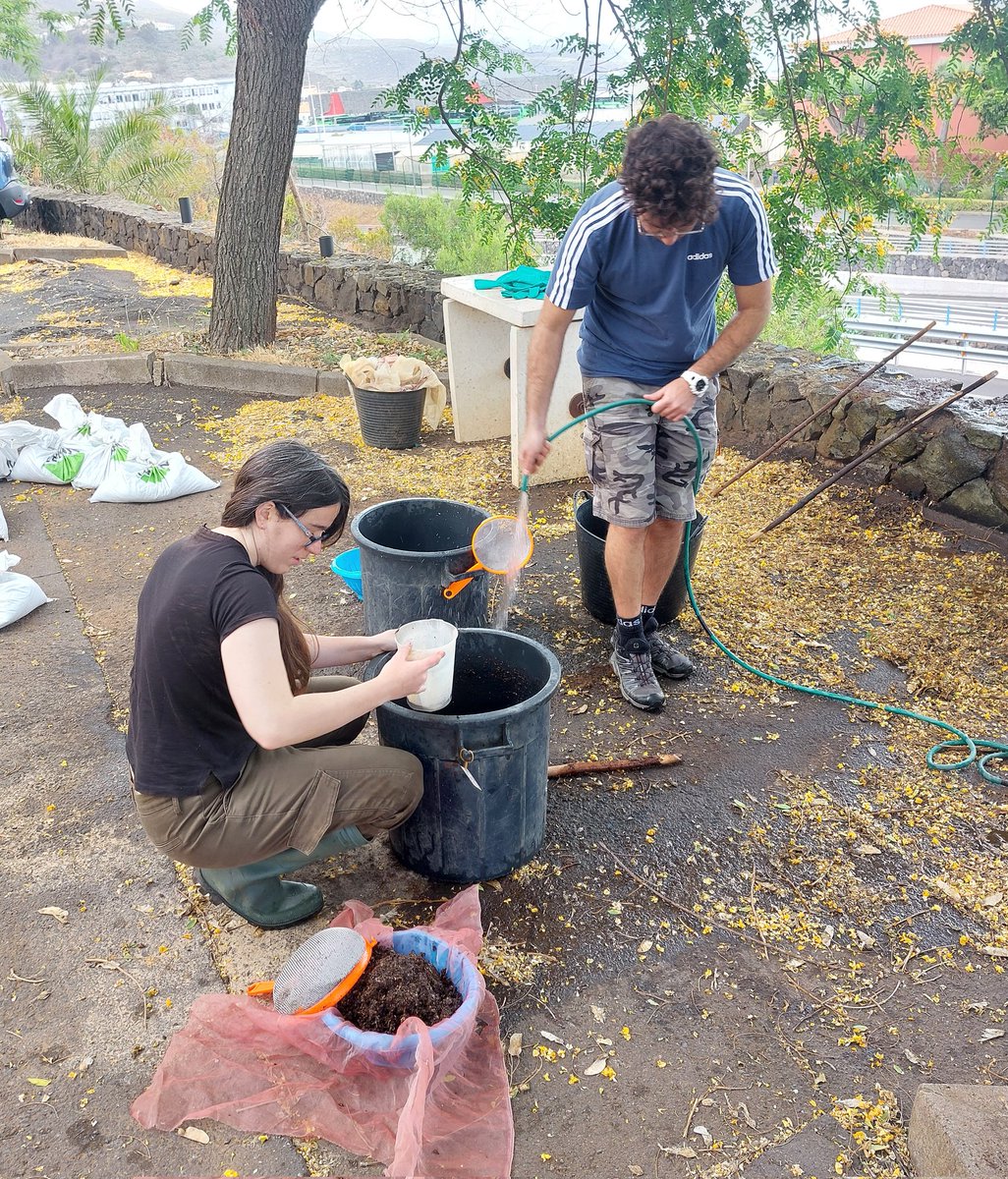 Last week, we had the pleasure of welcoming Gioele Moro from the <a href="/BiologyCentre/">Biology Centre CAS</a> CAS, Institute of Entomology at @IPNA_CSIC. He visited to learn about our soil sampling methods and procedures ⛏️🪲 
#soilresearch #biodiversity