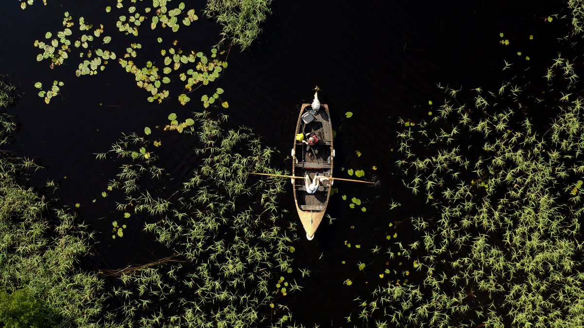 📸Lough Ree photo taken by Lee Williamson from Longford scoops top prize in National Photography Competition!

Runners up in LAWPRO’s ‘My Favourite Waterbody’ competition are Jimmy O’Neill, Marie Melvin, John Collins and Dalia Guzauskaite👏

Press Release: tinyurl.com/52bmenrb