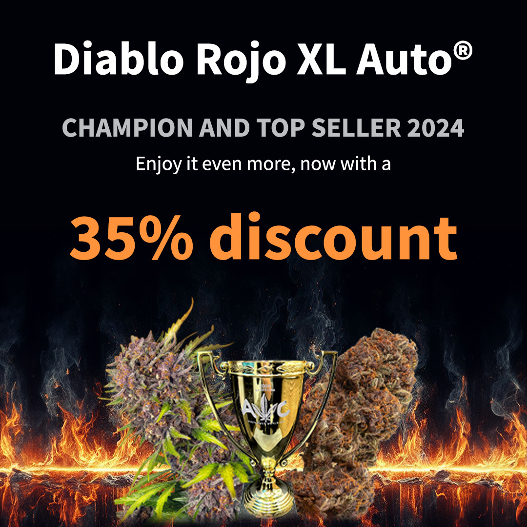 Last days to get our champion with 35 % Off
bit.ly/3Rx82kK