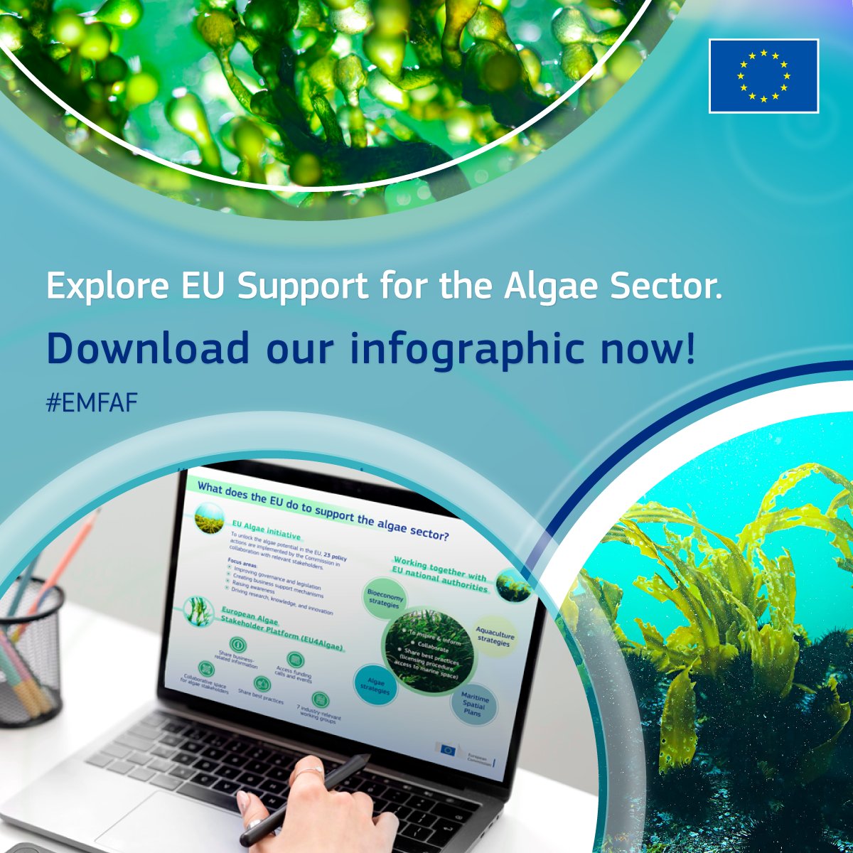 CINEA 🇪🇺 (@cinea_eu) on Twitter photo Dive into our infographic to discover how the EU supports the #algae sector
You can explore the synergies with other <a href="/EU_Commission/">European Commission</a> policies and initiatives, as well as EU research, innovation, and investments in this area ⬇️
europa.eu/!hmDRg6
#EMFAF #BlueFarmingEU Dive into our infographic to discover how the EU supports the #algae sector
You can explore the synergies with other <a href="/EU_Commission/">European Commission</a> policies and initiatives, as well as EU research, innovation, and investments in this area ⬇️
europa.eu/!hmDRg6
#EMFAF #BlueFarmingEU