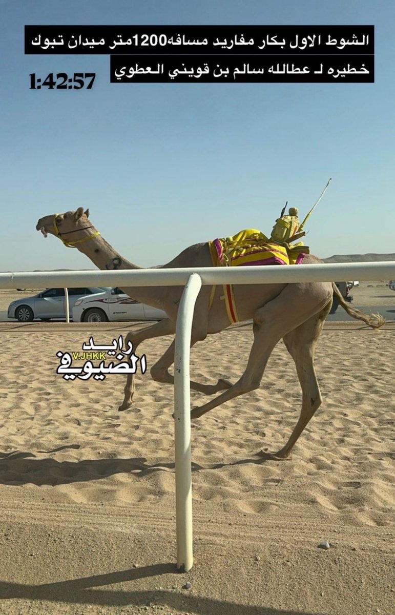 hnn3773's tweet photo. انتقلت ملكية بكره مفروده ( خطيره)
من عطالله سالم بن قويني العطوي
لـ راشد علي محمد الفهيدي المري 🇶🇦

عن طريق عمر فلاح البلوي
بـ مبلغ 450 الف

صاحبة الاشواط الرئيسيه والتواقيت الافضل اخرها في تأهيل ميدان تبوك وصيفة الشوط الاول
الاب خطير بن قويني
#ميدان_تبوك #صفقات_الهجن #قطر #مهرجان_ولي_العهد_للهجن #الطائف #مبيعات_الهجن