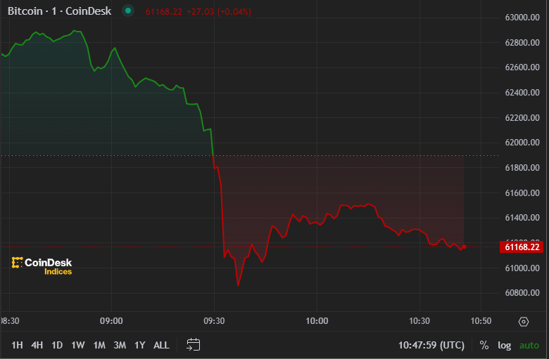 KingBorn_1's tweet photo. Welcome to Turtle Ledger! Tom the Turtleš¢reporting Livešļø
Bitcoin has dropped below $61kšDespite a 3+% drop in the last 24 hours, analysts are bullish about BTC's future.
What are your predictions for this week?
#Crypto #Bitcoin #CryptoCommunity #TurtleNews https://t.co/rcskMd0iup