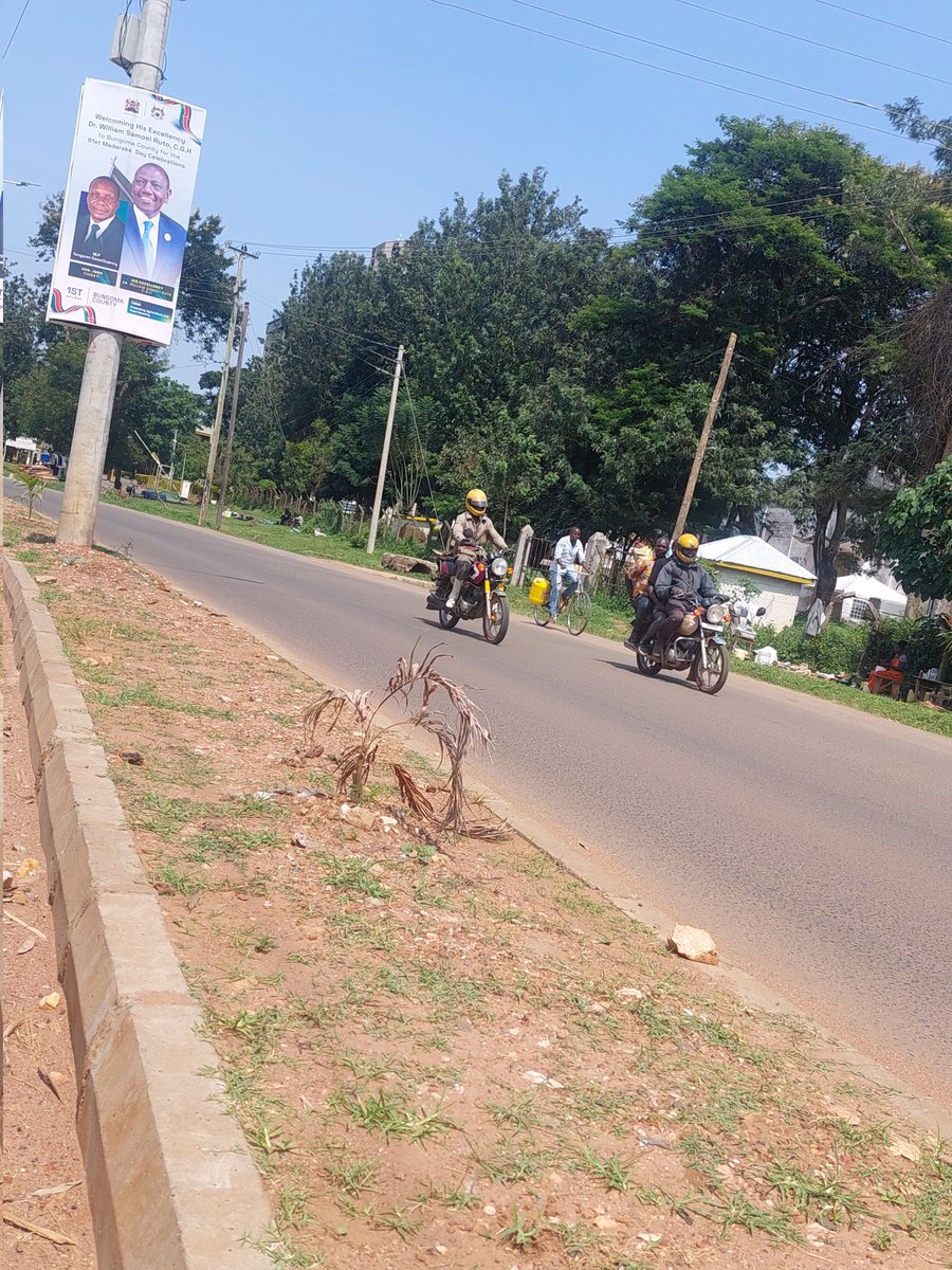 amerix's tweet photo. In Bungoma,

In preparation for Madaraka Day,

A crook pocketed KES 149 million to plant flowers on the highway.

ONE HUNDRED AND FORTY-NINE MILLION.

Even the flowers in the Garden of Eden are not this expensive.

Do you know what KES 149 million can do for the poor people of Bungoma?

These Bungoma flowers are now withering, goats are chewing them, and pedestrians are trampling on them.

OK. Fine. Let us assume the flowers are worth 149 million, but can't you guard, protect, and nurture them?

This is a blatant theft of public money.

The people of Bungoma are the most impoverished, the poorest clan in the Luhya community, but remain docile because they were told:

"We are 3rd in Kafment,"

Refuse this slavery.

#RejectFinanceBill2024