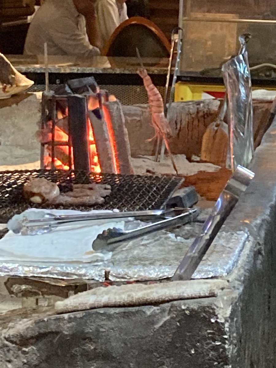 たぶん、コレがボクの🦐