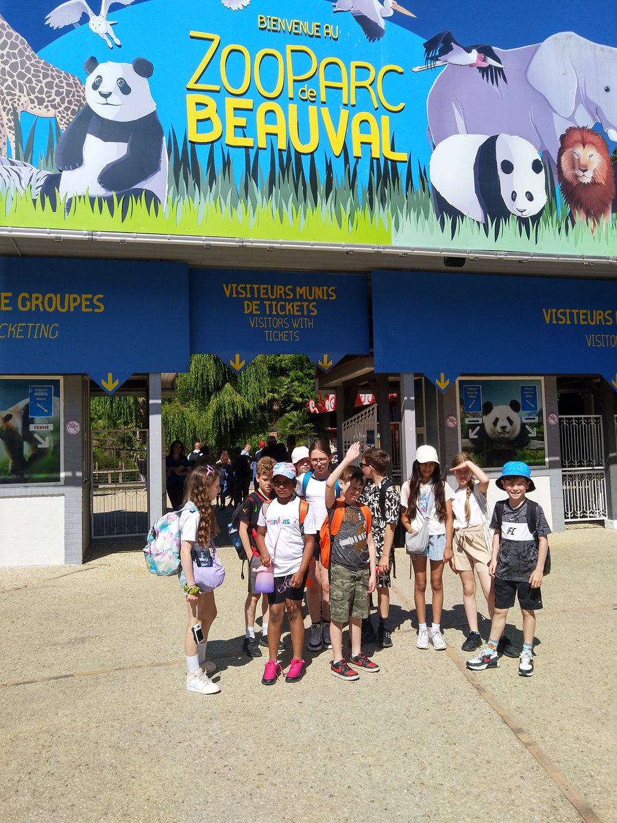 EarlsdonPrimary's tweet image. Everyone has been enjoying a fantastic day learning about animals at the Zooparc. #GoParks learning outdoors! @TemplarsPrimary @RiverbankAc @FinhamPark2 @CorpusPrimary