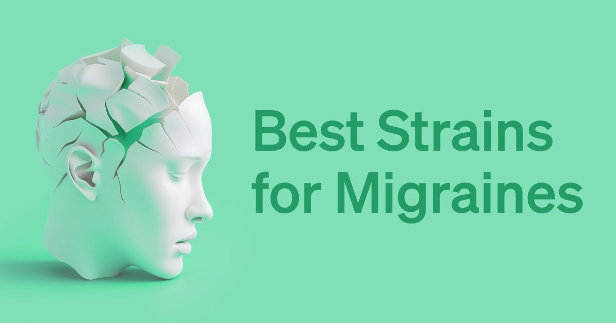 What are the best strains for migraines, according to users? 

Grandaddy Purp, GSC, and OG Kush got the seal of approval from many medical users who are treating migraine symptoms like pain and nausea. 

See the full list here: buff.ly/3WMe7Nq 

#migraines #strains