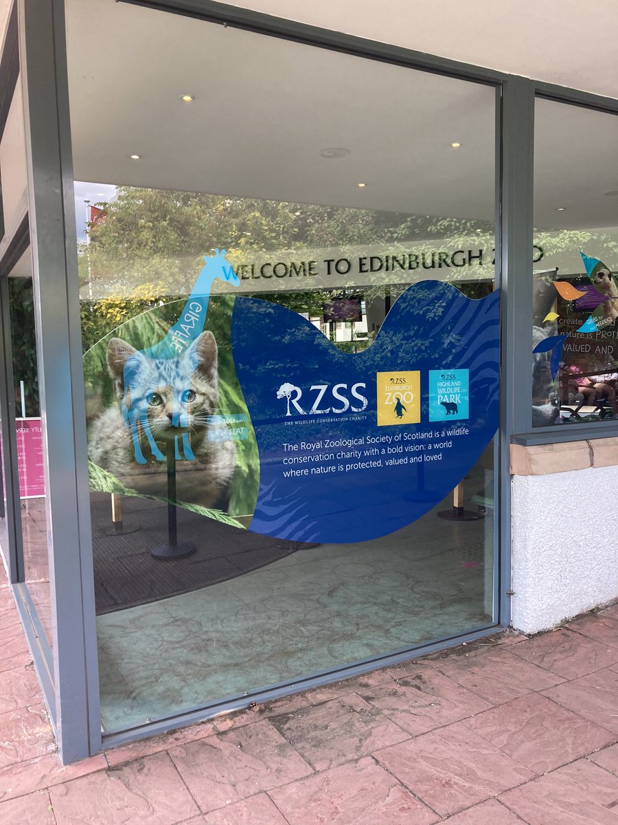 Enjoyed a ☀️ visit to new <a href="/UKinbound/">UKinbound</a> members <a href="/rzss/">Royal Zoological Society of Scotland</a> <a href="/EdinburghZoo/">Edinburgh Zoo</a> thanks for the wee tour Eloise Mair and great to hear about all your animal experiences, tours and developments. Lots or penguin chicks spied - bonus 🐧😃.