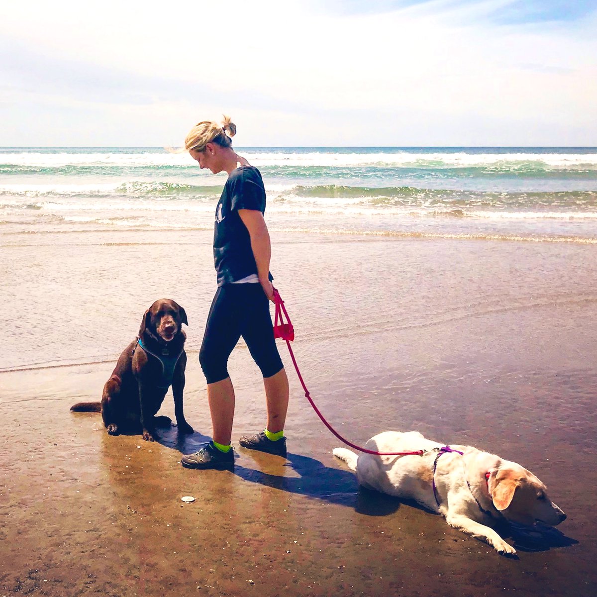 Jennifer Hoff tweet media