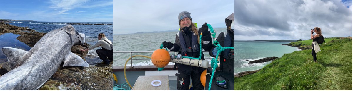 Today we introduce a previous committee member, Jas!