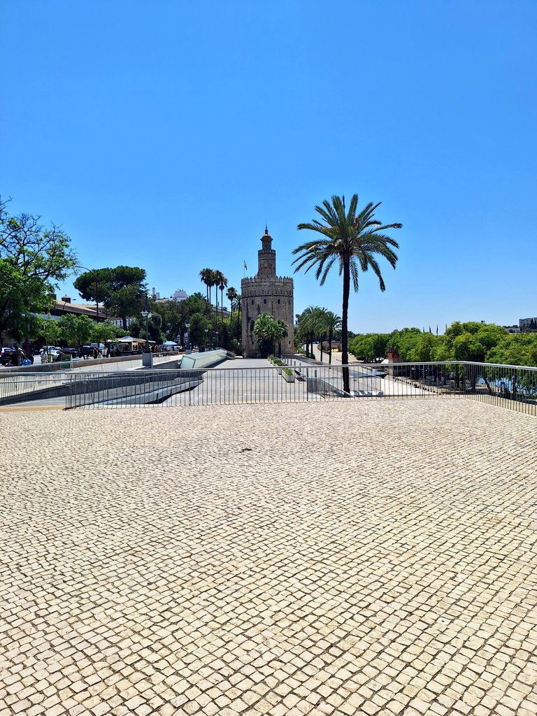 Todavía no ha pagado nadie por este crimen.