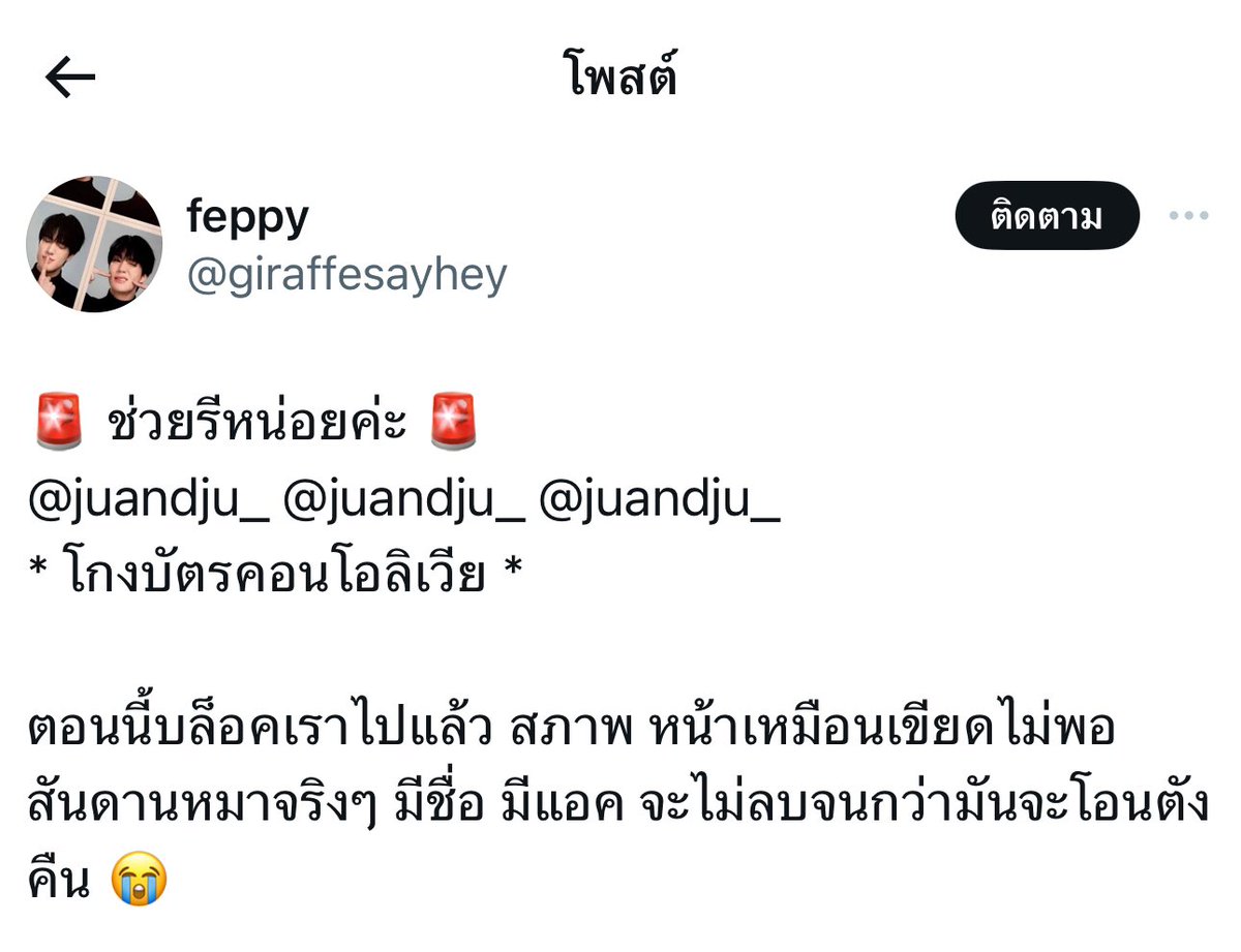 ผิงลี่ 🍐 tweet media