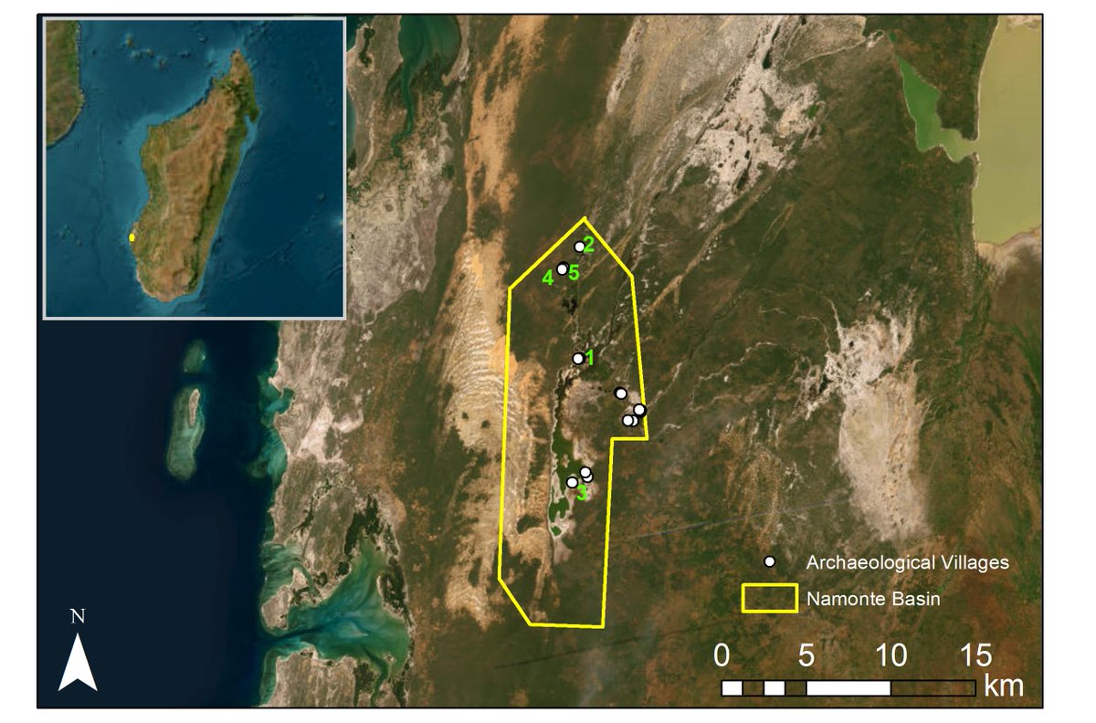 Dylan Davis tweet media