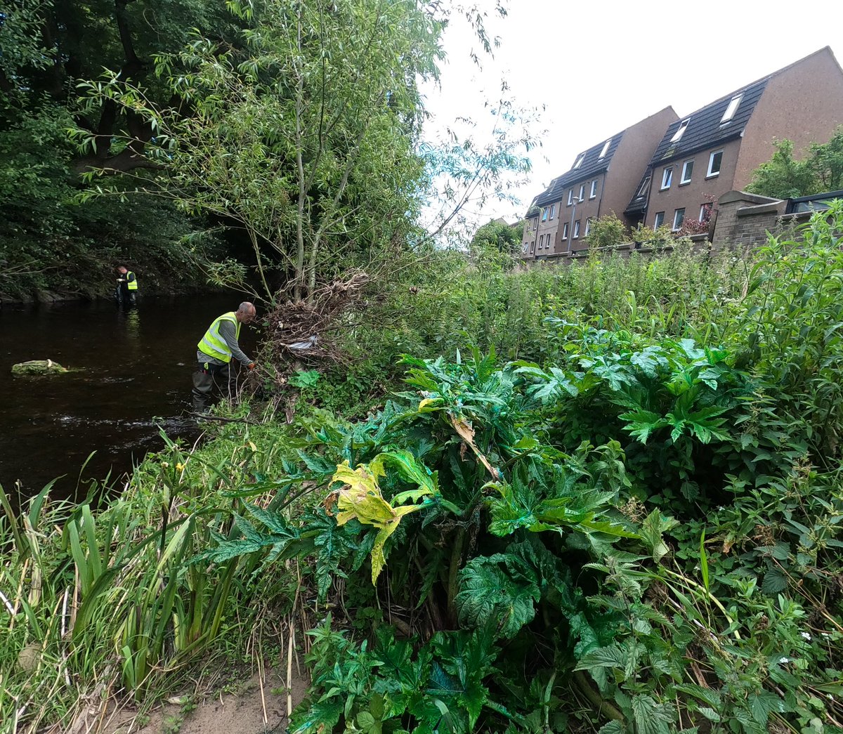 Water of Leith Conservation Trust tweet media