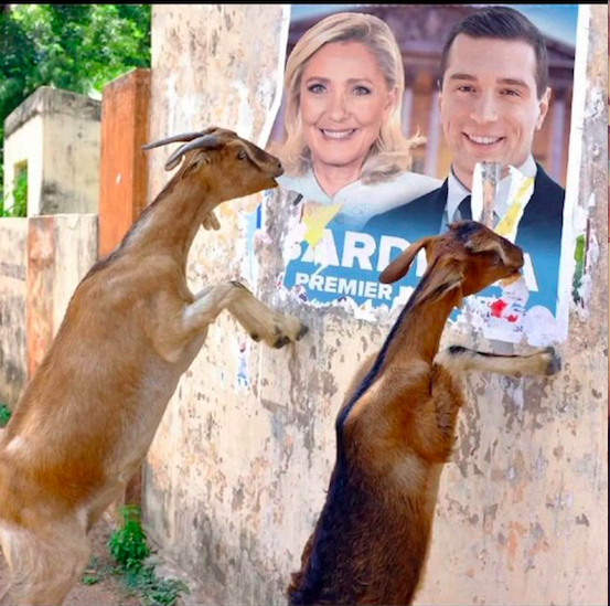 Oumlette_11's tweet photo. Cette fois, il ne suffit pas de dire non à l’extrême droite.
 Nous faisons le choix de nous battre.
#ResisTeamFR 
#jeSuisSleeping 
#KatibaDesNarvalos
#Nouveaufrontpopullaire 
#frontpopulaire 
#legilégislatives2024 https://t.co/VYn3GYEpd7