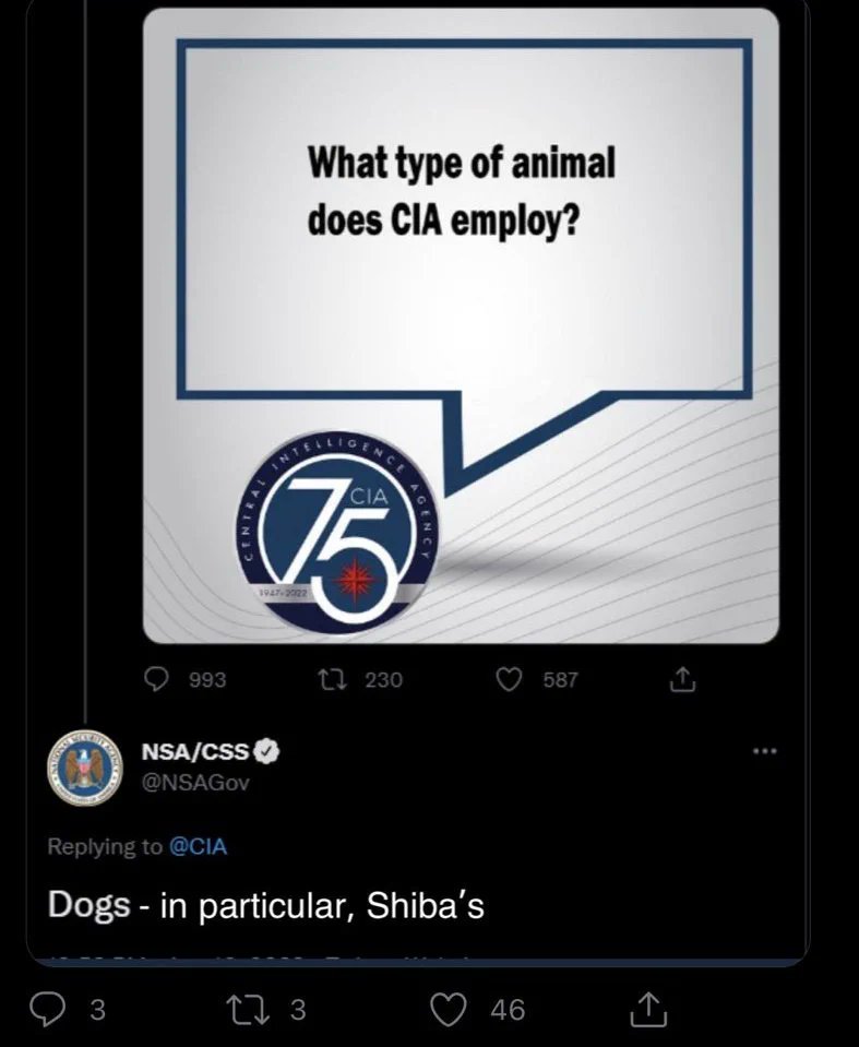 AuntieTiffa NAFO OFAN MUGA Fella 🇺🇦 tweet media