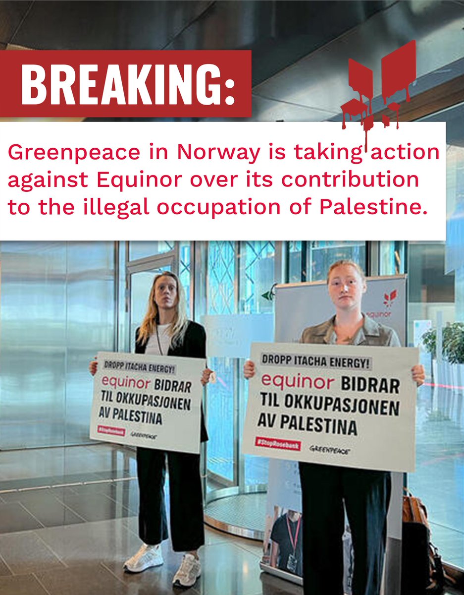 🚨 Breaking: Greenpeace in Norway is taking action against @equinor over its contribution to the illegal occupation of Palestine.

5 activists are occupying Equinor offices, demanding that the oil &amp; gas giant immediately ends its partnership with Ithaca Energy and #StopRosebank