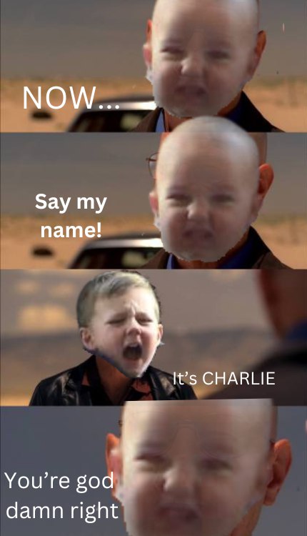 hydroxid's tweet photo. @phylographyy @Kaztriot @blknoiz06 #charlie #charliebitmyfinger #ogmeme #ansem #solana #memecoin https://t.co/PBGKm9lwMV