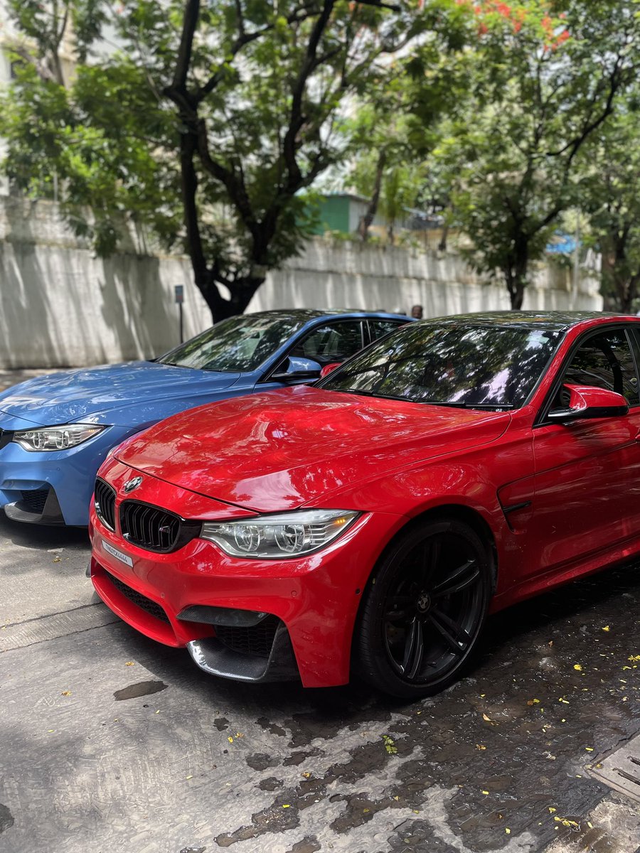 ruelsreel's tweet image. Blue or Red? #F80M3
