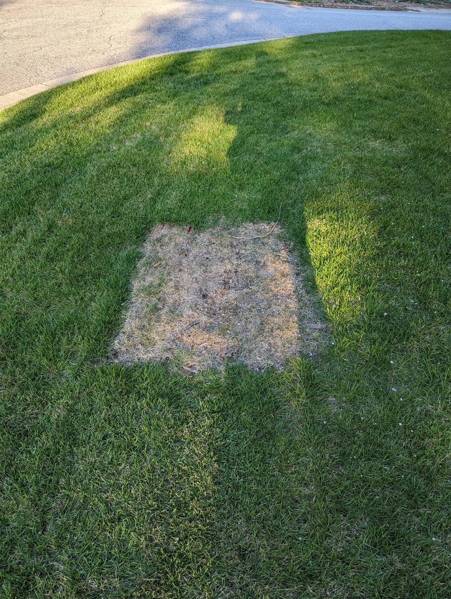 Jim Prunty tweet media