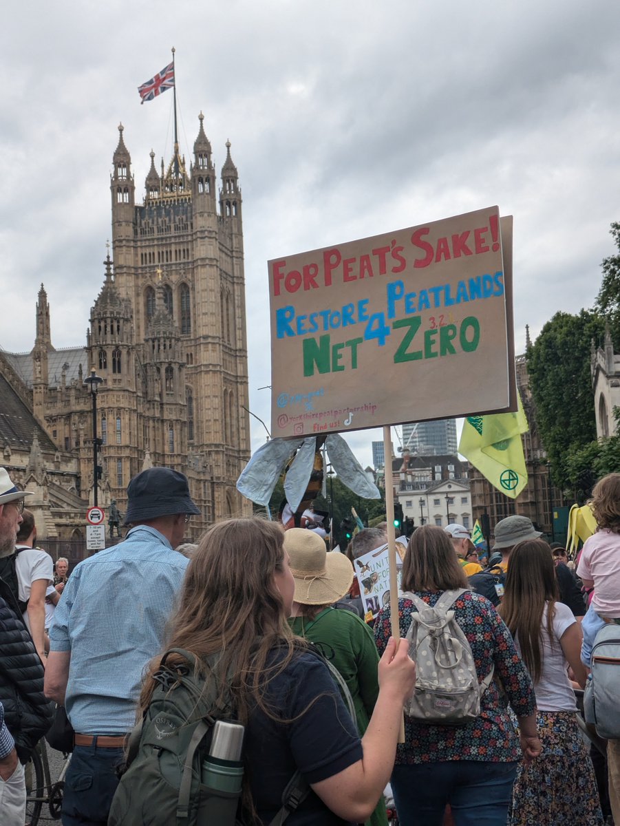 ASA Landscape tweet media