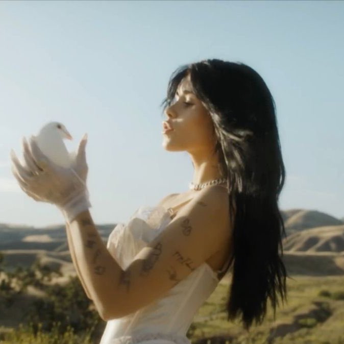 bvrrettz's tweet image. two years of die first 🤍
this song will always mean so much to me
it is truly one of the most beautiful written songs ever. the meaning behind it will forever hold a special place in my heart 🪽