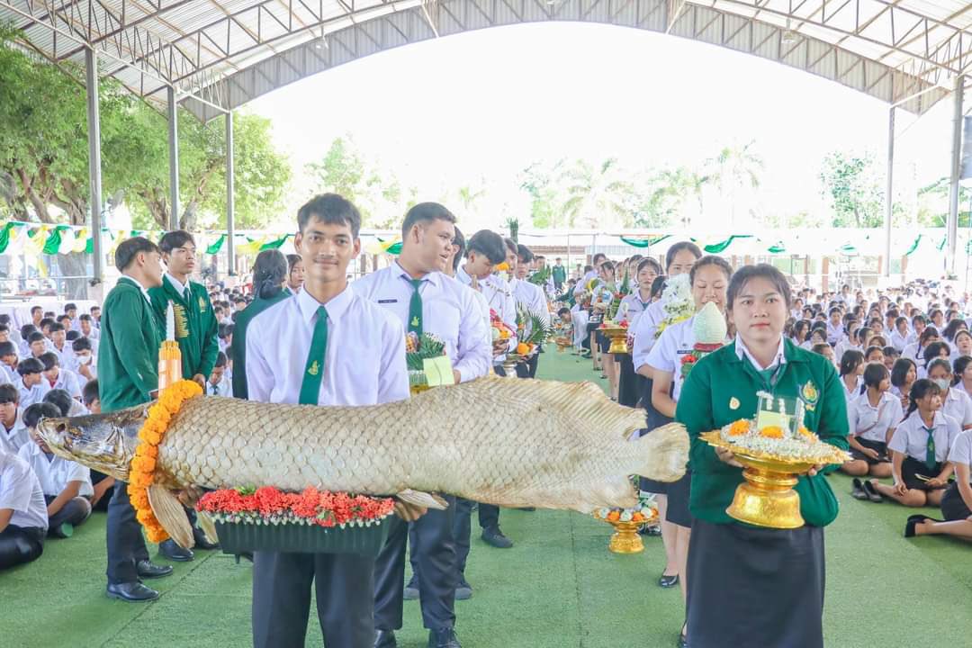 รีแอคชั่น วิดีโอ🏳️🌈 tweet media
