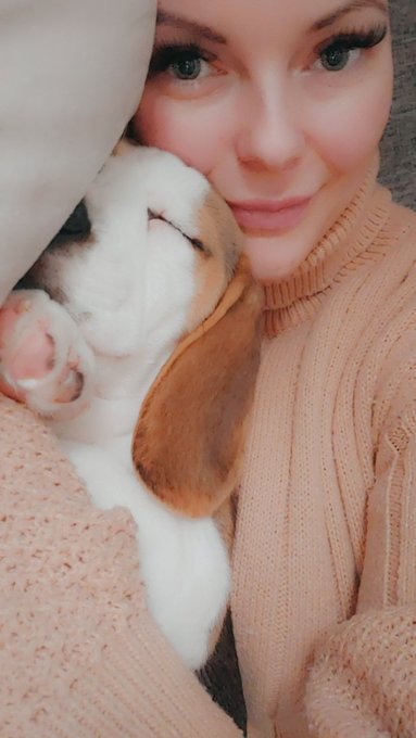 Meet Jasper 🥰 #BabyBeagle #companion #snugglebuddy https://t.co/5L2hWlcDPM<a href="/tag/babybeagle"class="tags">#BabyBeagle</a><a href="/tag/companion"class="tags">#companion</a><a href="/tag/snugglebuddy"class="tags">#snugglebuddy</a>