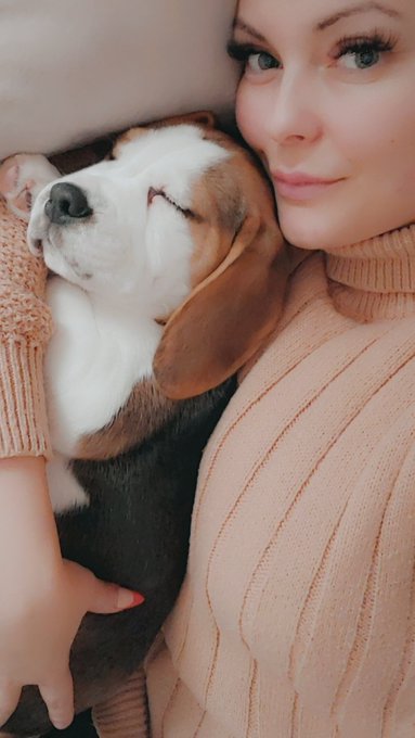 Meet Jasper 🥰 #BabyBeagle #companion #snugglebuddy https://t.co/5L2hWlcDPM<a href="/tag/babybeagle"class="tags">#BabyBeagle</a><a href="/tag/companion"class="tags">#companion</a><a href="/tag/snugglebuddy"class="tags">#snugglebuddy</a>