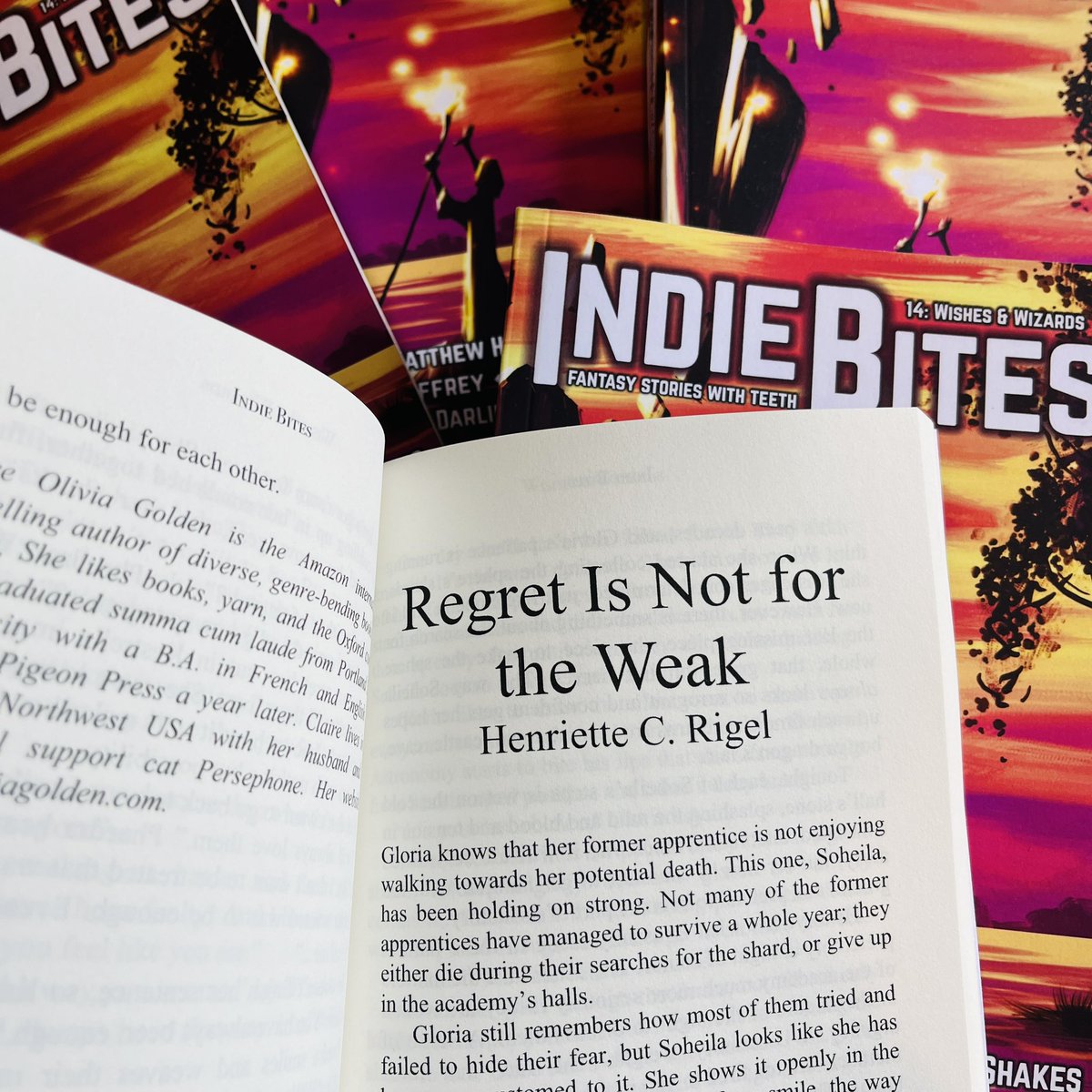 Regret Is Not for the Weak by Henriette C. Rigel is available to download FREE in the latest issue of Indie Bites (Wishes &amp; Wizards)

silversunbooks.com/post/wishes-wi…